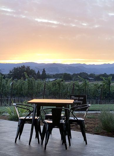 Vineyard Sunset